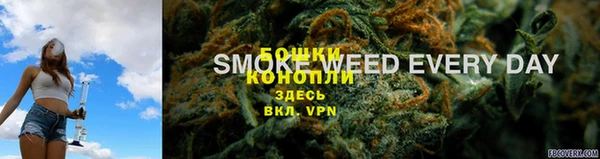 соль ск Балахна