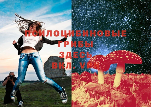 мескалин Аркадак